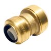 Tectite By Apollo 3/4 in. IPS x 3/4 in. CTS Brass Push-to-Connect Conversion Coupling FSBIPSC34